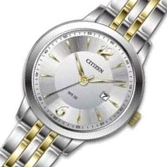 Citizen DZ0034-53A Two Tone Stainless Watch