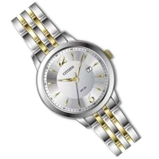 Citizen DZ0034-53A Two Tone Stainless Watch