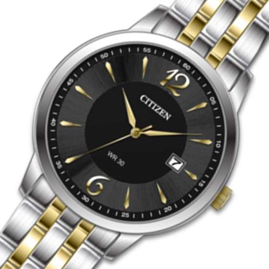 Citizen DZ0034-53E Two Tone Stainless Watch