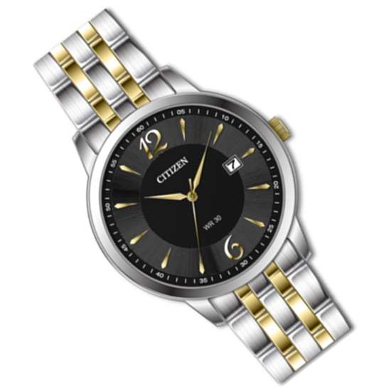 Citizen DZ0034-53E Two Tone Stainless Watch